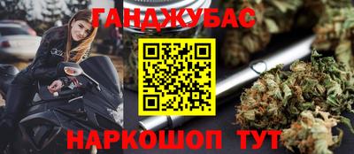 прущие грибы Абинск