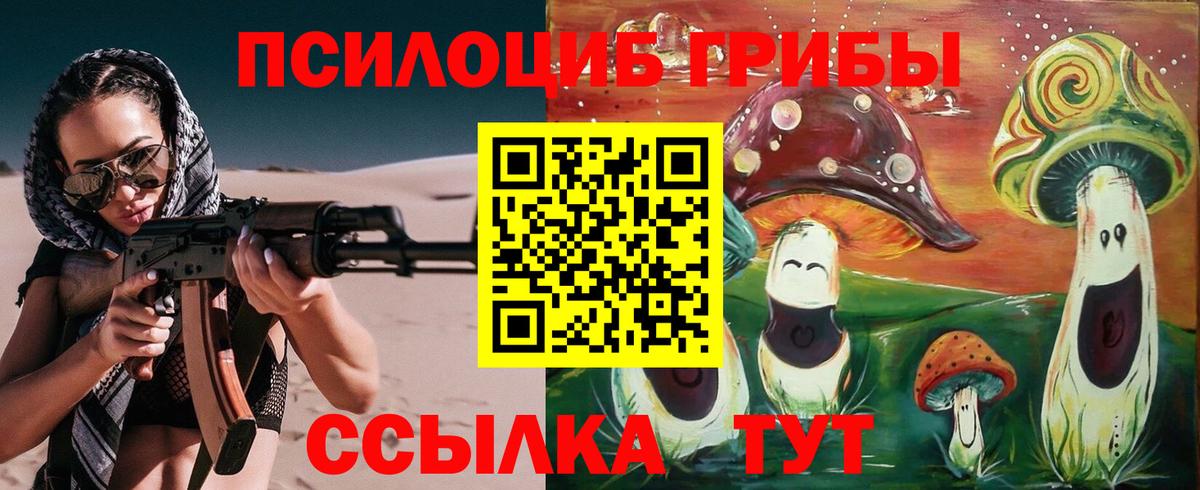Псилоцибиновые грибы Psilocybe Анжеро-Судженск